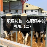 职场礼仪,在职场中的礼貌(二)(图1) 职场礼仪,在职场中的礼貌(二)(图1)