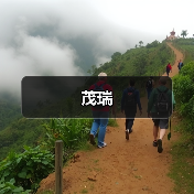 茂瑞（图1）