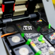 茂瑞（图4）
