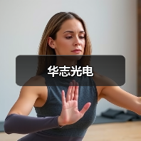 华志光电（图2）