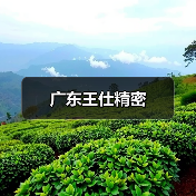 广东王仕精密(图2) 广东王仕精密(图2)
