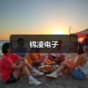 锦凌电子(图3) 锦凌电子(图3)