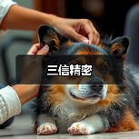 三信精密（图3）