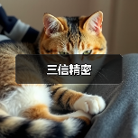 三信精密（图1）