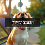 广东品美集团(图2) 广东品美集团(图2)