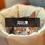 龙比度(图1) 龙比度(图1)