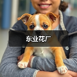 东业花厂（图2）
