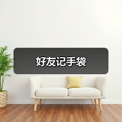 好友记手袋（图2）