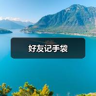 好友记手袋（图4）