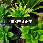 泽能五金电子（图2）