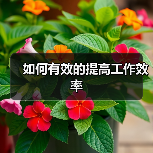 如何有效的提高工作效率(图1) 如何有效的提高工作效率(图1)