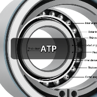 ATP（图2）