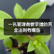 一名管理者要掌握的黄金法则有哪些(图4) 一名管理者要掌握的黄金法则有哪些(图4)