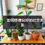 如何搭建良好的社交关系(图3) 如何搭建良好的社交关系(图3)