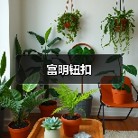 富明钮扣（图4）