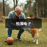 悦顺电子（图4）