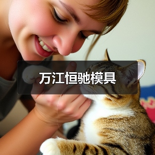 万江恒驰模具(图3) 万江恒驰模具(图3)