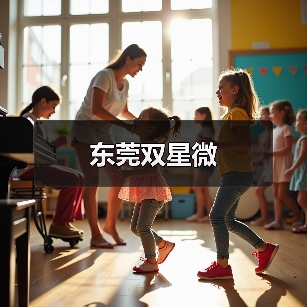 东莞双星微(图4) 东莞双星微(图4)