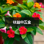 镁益申五金（图3）