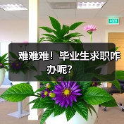 难难难!毕业生求职咋办呢?(图1) 难难难!毕业生求职咋办呢?(图1)