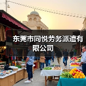 东莞市同悦劳务派遣有限公司（图2）