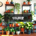 华拓精密（图2）