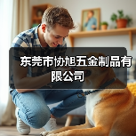 东莞市协旭五金制品有限公司(图2) 东莞市协旭五金制品有限公司(图2)