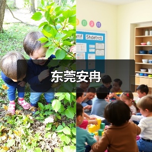东莞安冉（图4）
