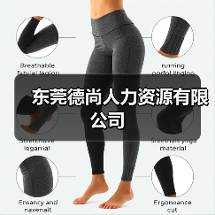 东莞德尚人力资源有限公司（图4）