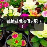 疫情过后如何求职(1)(图2) 疫情过后如何求职(1)(图2)