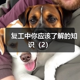 复工中你应该了解的知识(2)(图3) 复工中你应该了解的知识(2)(图3)