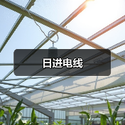 日进电线（图2）