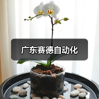 广东赛德自动化（图2）