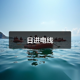 日进电线（图3）