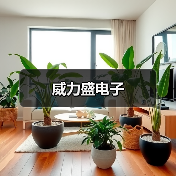 威力盛电子（图3）