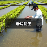 宏润精密(图1) 宏润精密(图1)