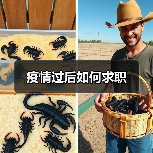 疫情过后如何求职（图1）
