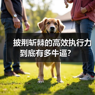 披荆斩棘的高效执行力到底有多牛逼？（图2）