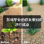 即将毕业的你未来如何进行就业（图1）