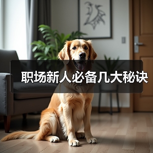 职场新人必备几大秘诀（图2）