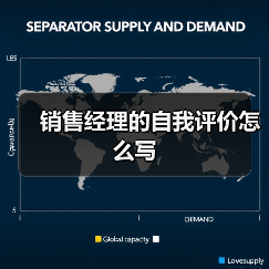 销售经理的自我评价怎么写（图2）