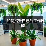 如何提升自己的工作技能（图2）