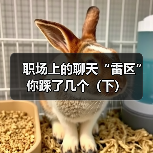 职场上的聊天“雷区”你踩了几个（下）（图3）