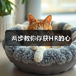 两步教你俘获HR的心（图3）
