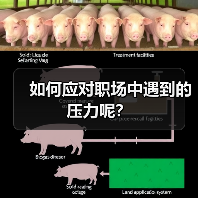 如何应对职场中遇到的压力呢？（图2）