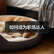 如何成为职场达人（图2）