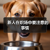 新人在职场中要注意的事情（图4）