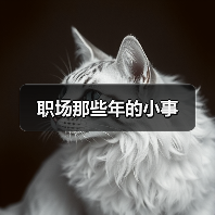 职场那些年的小事（图2）
