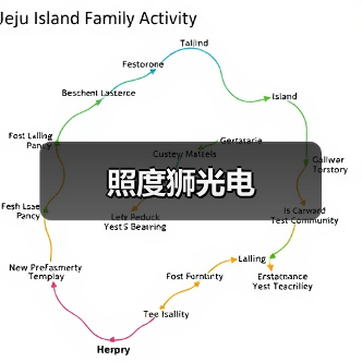 照度狮光电（图1）