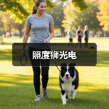 照度狮光电（图4）